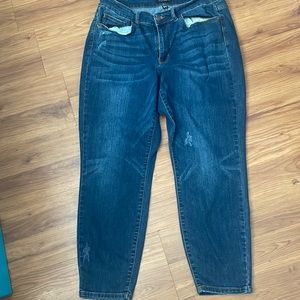Judy Blue Relaxed Fit Jeans